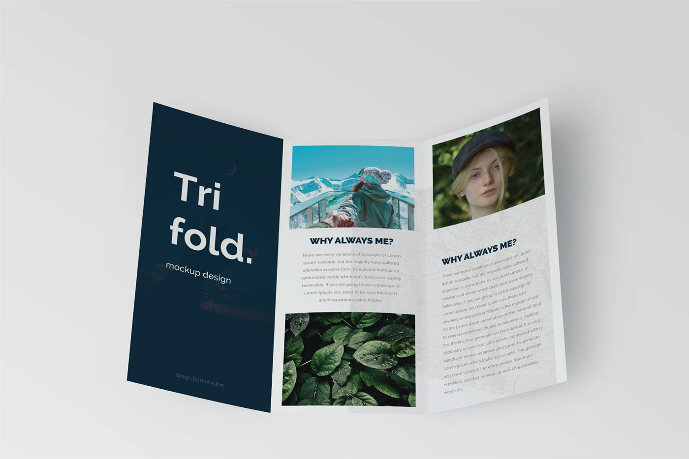 Trifold brochure mockup set free